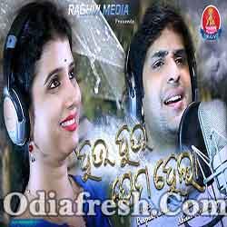 Hau Hau Prema Hela - Odia  Song - Diptirekha, Swayam